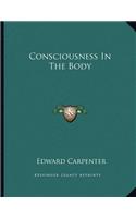 Consciousness in the Body