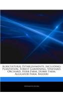 Articles on Agricultural Establishments, Including: Plantation, Forest Gardening, Vineyard, Orchard, Herb Farm, Hobby Farm, Alligator Farm, Baserri