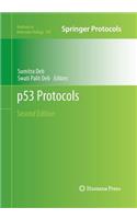 p53 Protocols