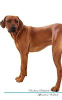 Rhodesian Ridgeback Affirmations Workbook Rhodesian Ridgeback Presents: Positive and Loving Affirmations Workbook. Includes: Mentoring Questions, Guidance, Supporting You.