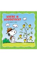 Where Is Woodstock?