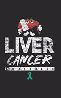 Liver Cancer Notebook