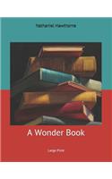 A Wonder Book: Large Print