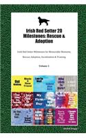 Irish Red Setter 20 Milestones: Rescue & Adoption: Irish Red Setter Milestones for Memorable Moments, Rescue, Adoption, Socialization & Training Volume 1