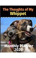 The Thoughts of My Whippet