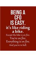Being a CFO is Easy. It's like riding a bike. Except the bike is on fire. You're on fire. Everything is on fire. And you're in hell.: Calendar 2020, Monthly & Weekly Planner Jan. - Dec. 2020