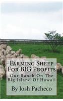 Farming Sheep For BIG Profits