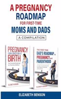 Pregnancy Roadmap for First-Time Moms and Dads