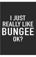 I Just Really Like Bungee Ok?