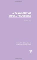 A Taxonomy of Visual Processes