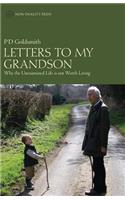 Letters to My Grandson