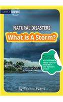 What Is A Storm?: (Natural Hazards)