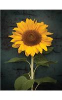 Sunflower Notebook: Dot Grid Notebook Journal 8.5 x 11 202 Pages