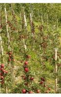 Apple Orchard Notebook