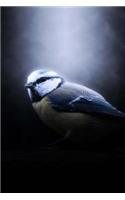 Blue Tit Notebook: 150 Lined Pages, Softcover, 6 X 9