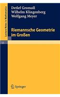 Riemannsche Geometrie Im Großen