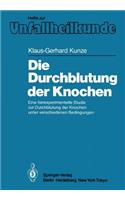 Die Durchblutung Der Knochen