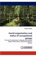 Social Organization and Status of Occupational Groups