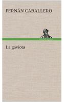 gaviota