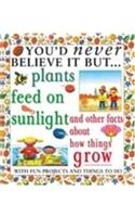 You'd Never Believe It But - Plants Feed On Sunlight