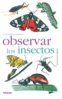 Observar Los Insectos/ Insect Watching