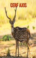 Cerf Axis