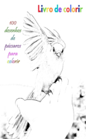Livro de colorir 100 desenhos de pássaros para colorir: um bom livro de tamanho 6 x 9 polegadas para hobby, diversão, entretenimento e coloração de desenho para criança, estudante, adolescente, adulto, ho