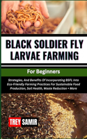 BLACK SOLDIER FLY LARVAE FARMING For Beginners