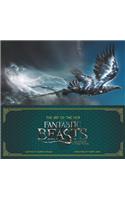 Fantastic Beasts and Where to Find Them