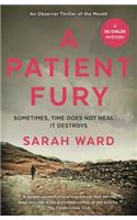 A Patient Fury: (DC Childs mystery)