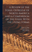 Review of the Fossil Ostreidæ of North America and a Comparison of the Fossil With the Living Forms