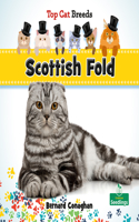 Scottish Fold: (Top Cat Breeds)