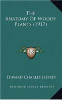 Anatomy of Woody Plants (1917)