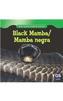 Black Mamba/Mamba Negra