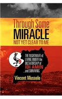 Through Some Miracle Not Yet Clear to Me
