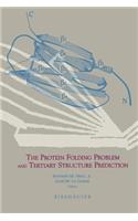 Protein Folding Problem and Tertiary Structure Prediction