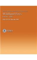 Wildland Fires, Florida-1998