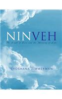 Ninveh: The Light of Love and the Meaning of Life