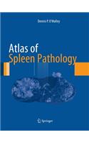 Atlas of Spleen Pathology