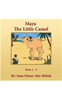 Maya: The Little Camel(English)
