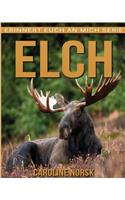 Elch