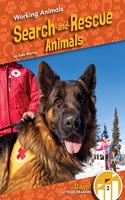 Search-And-Rescue Animals