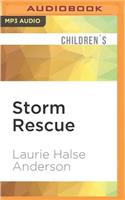 Storm Rescue