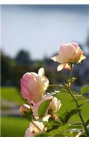 Pink Rosebush Flower Journal: 150 Page Lined Notebook/Diary