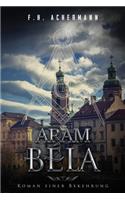 Aram BÃ©la: Roman Einer Bekehrung