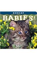 Bobcat Babies!: (Babies! (Farcountry Press))