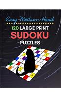Easy Medium Hard 120 Large Print Sudoku Puzzles