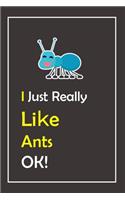I Just Really Like Ants, OK !
