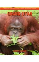 Orang-Utan