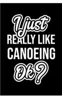 I Just Really Like Canoeing Ok?: Christmas Gift for Canoeing lover - Funny Canoeing Journal - Nice 2019 Christmas Present for Canoeing - 6x9inch 120 pages